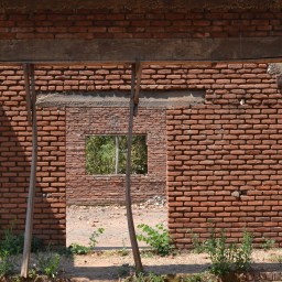 Producing Fruits; Elms and Vines